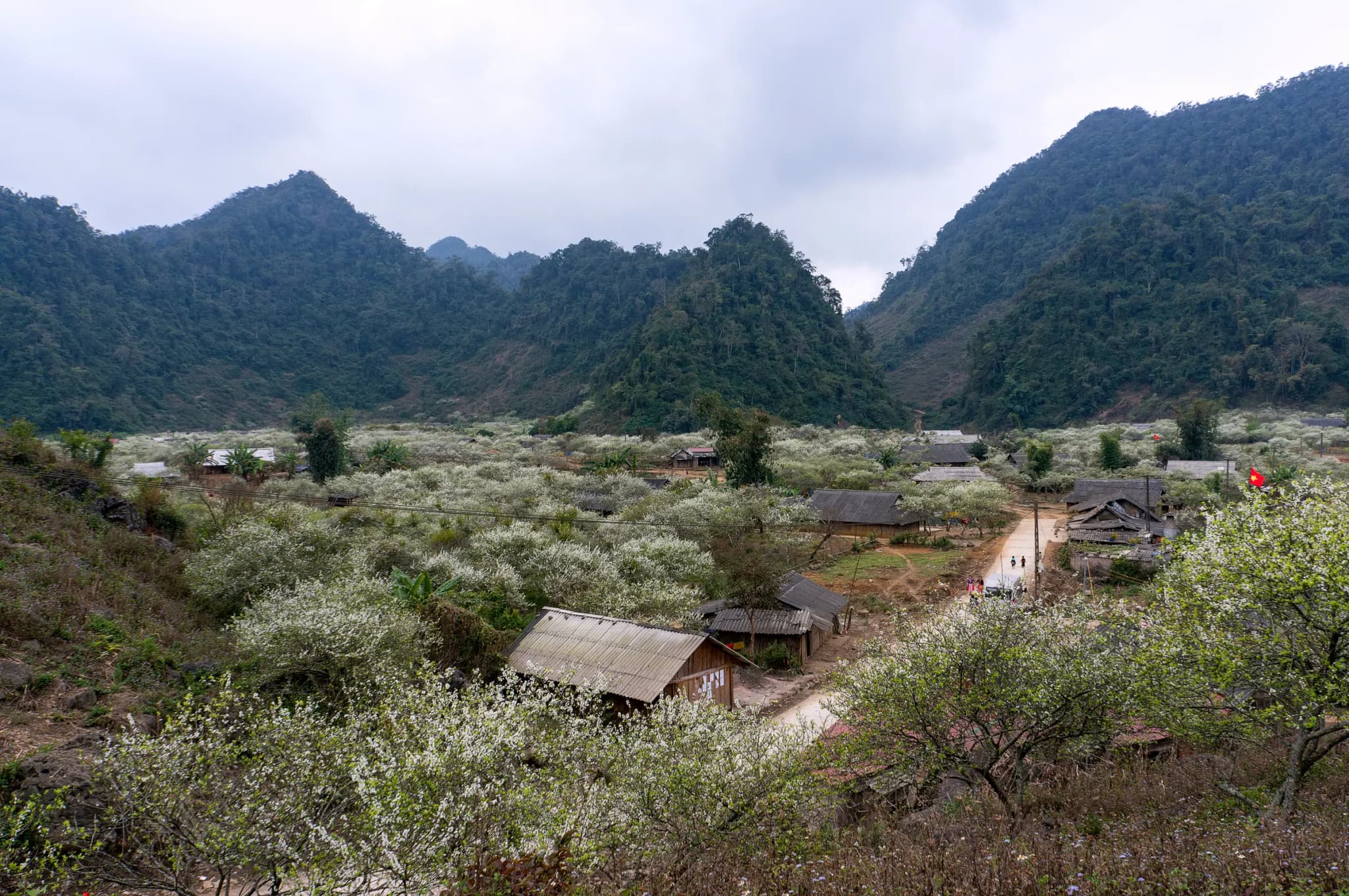 Bản Pa Phách 2