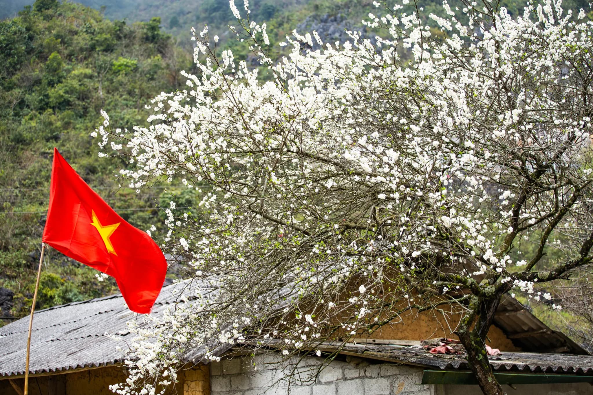 Bản Pa Phách 3