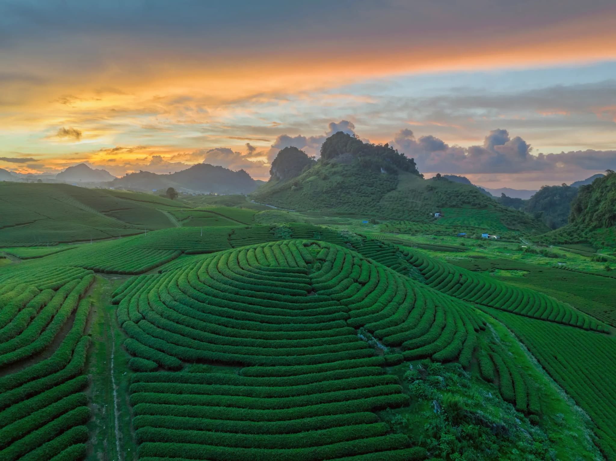 Bản Pa Phách 4