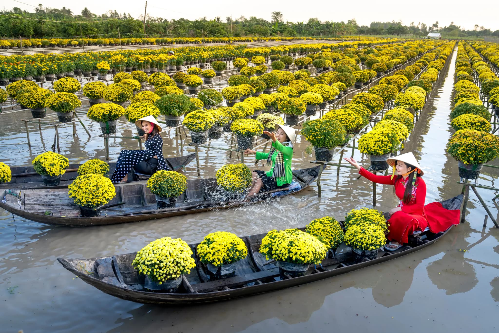 Làng Hoa Sa Đéc 4