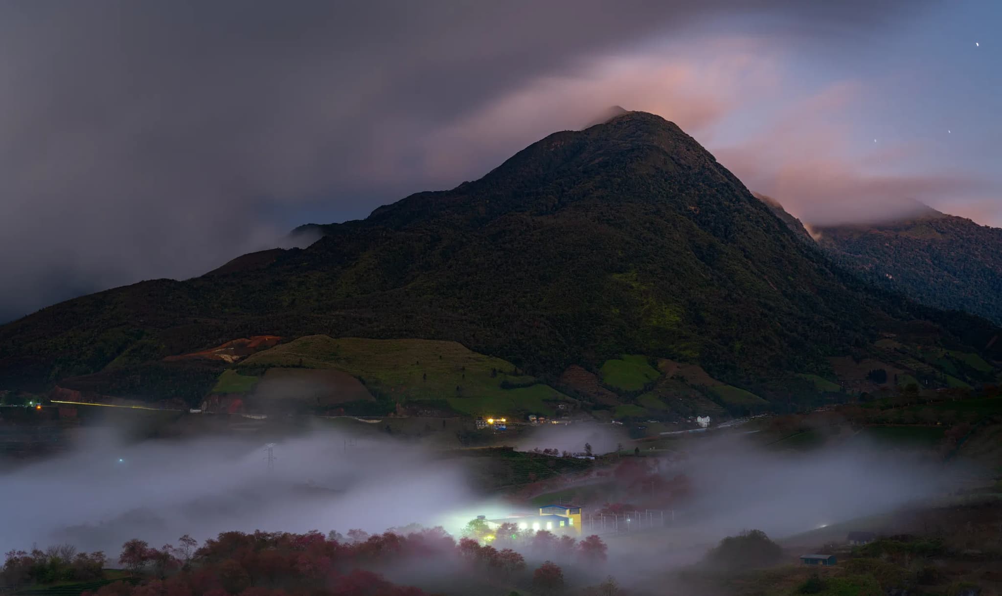 Đồi chè Ô Long - Sapa 11