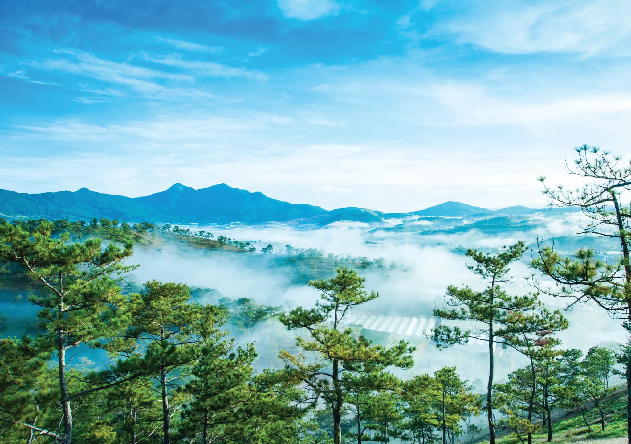 Đà Lạt 19