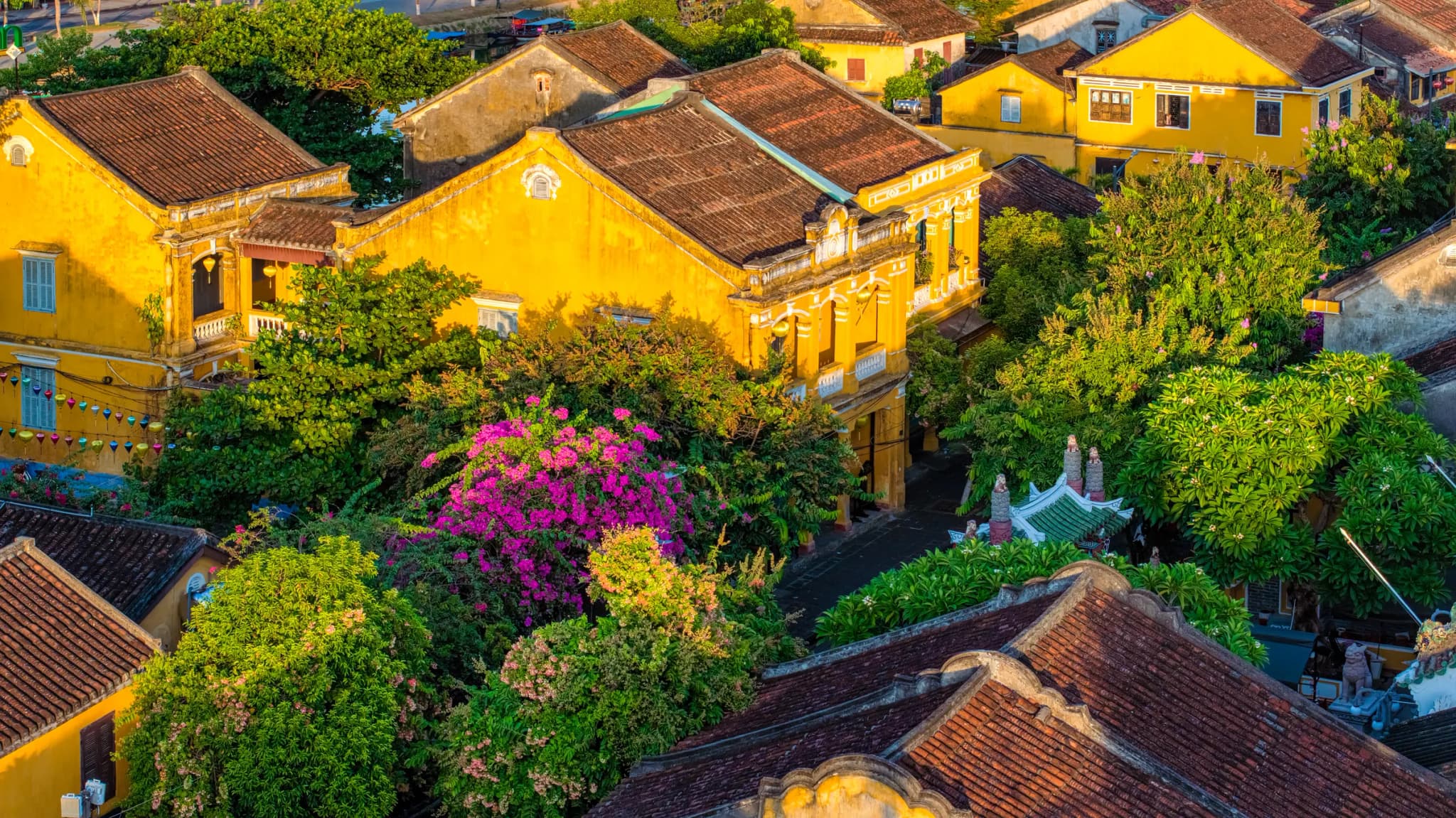 Phố cổ Hội An 12