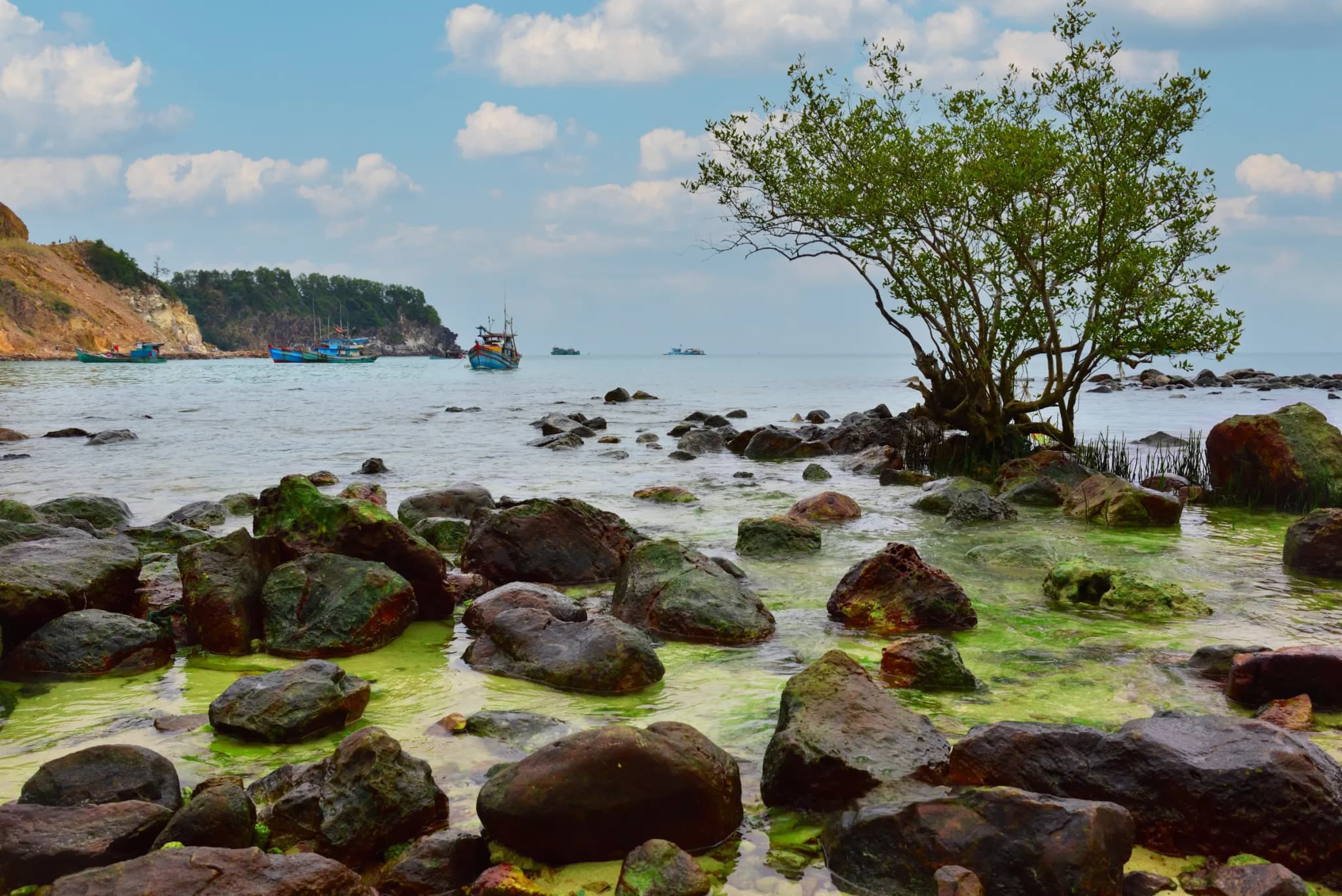 Đảo Nam Du 4