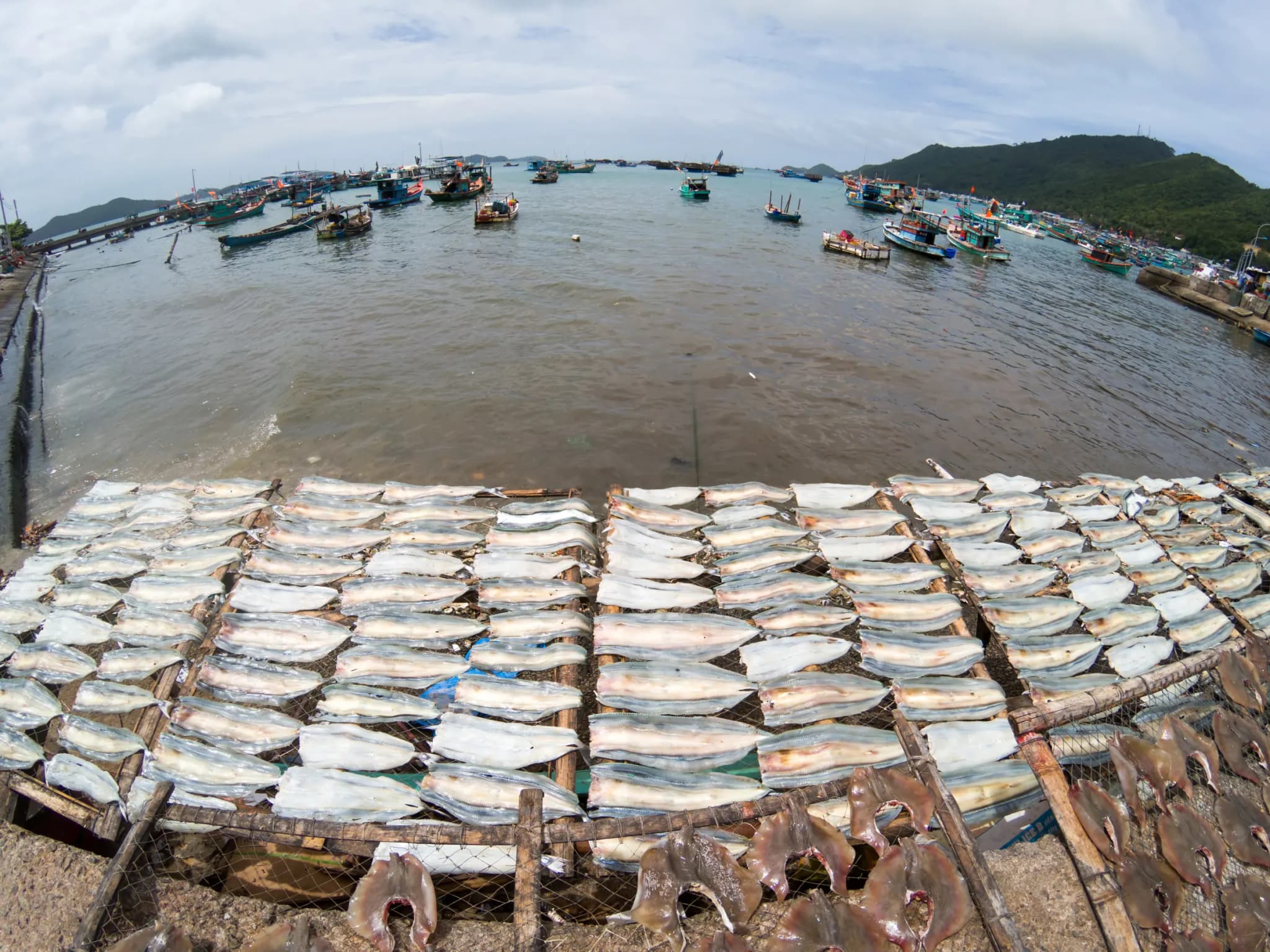 Đảo Nam Du 11