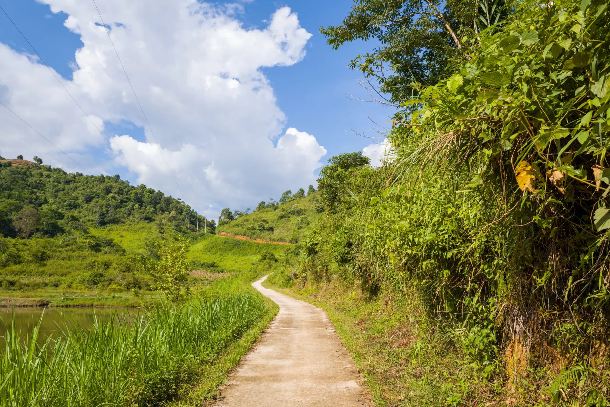 Điện Biên Phủ 11