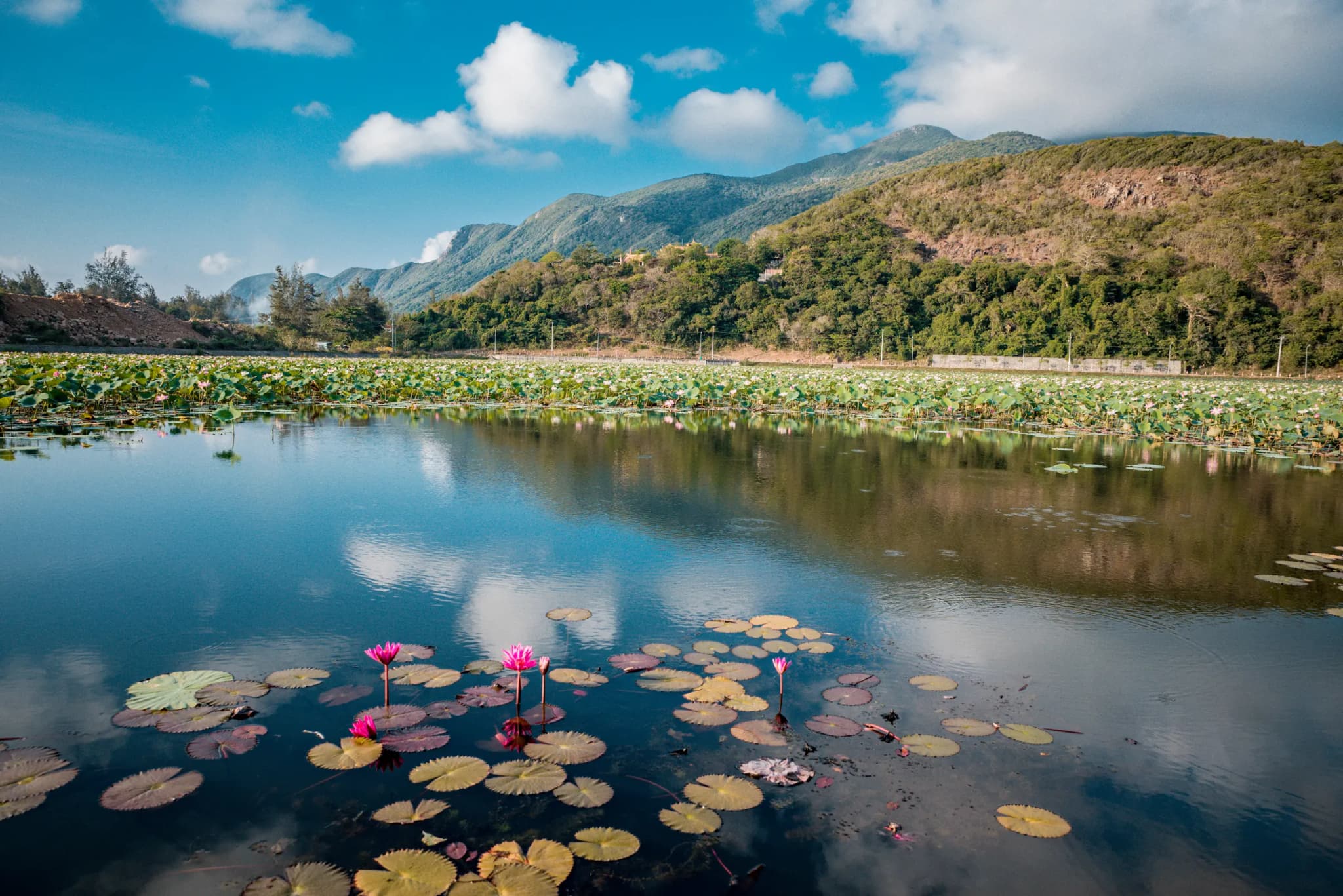 Côn Đảo 1