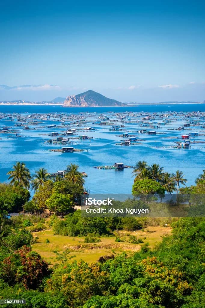 Vịnh Vũng Rô 10