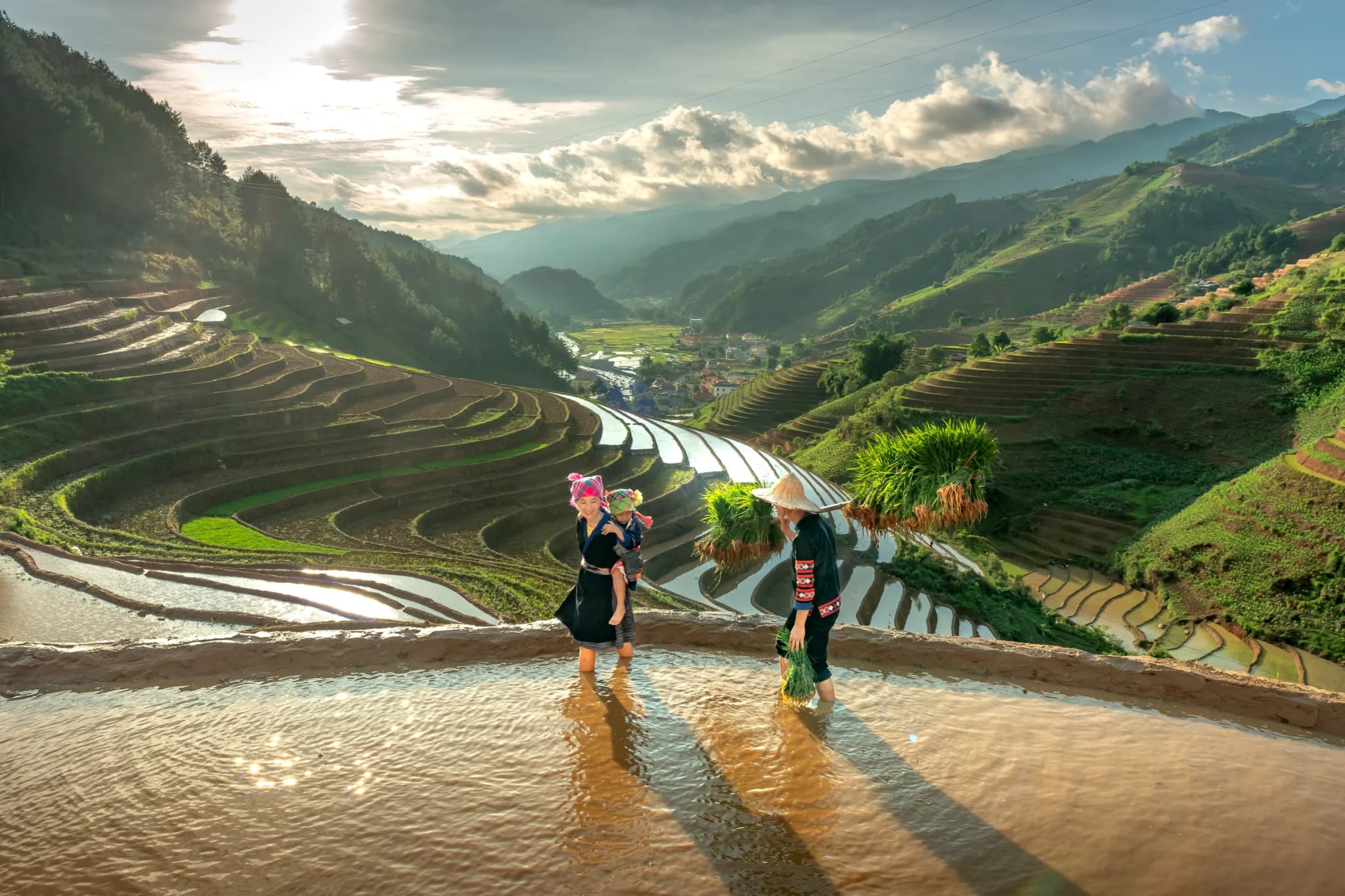Mù Cang Chải 5