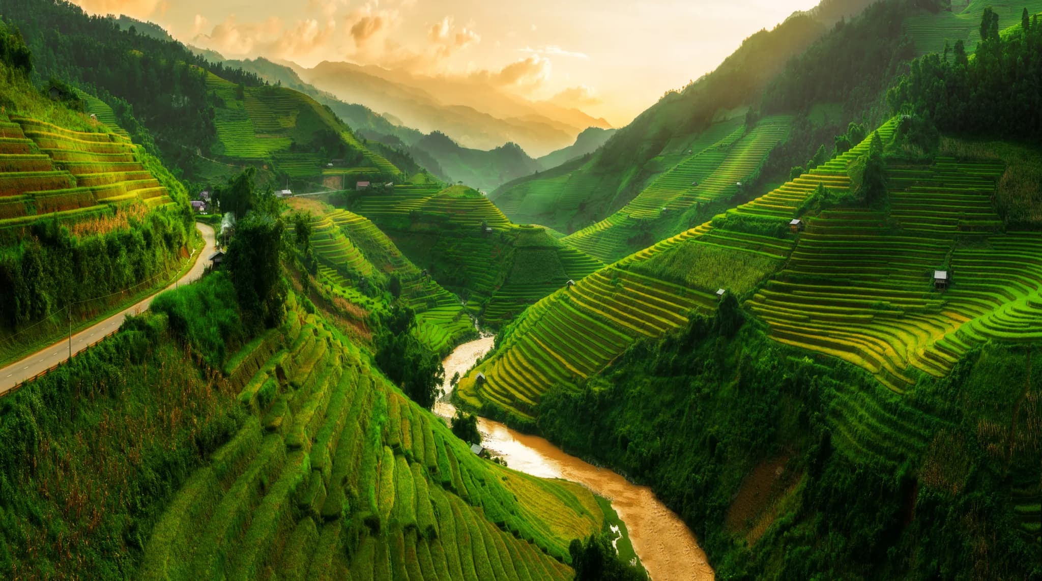 Mù Cang Chải