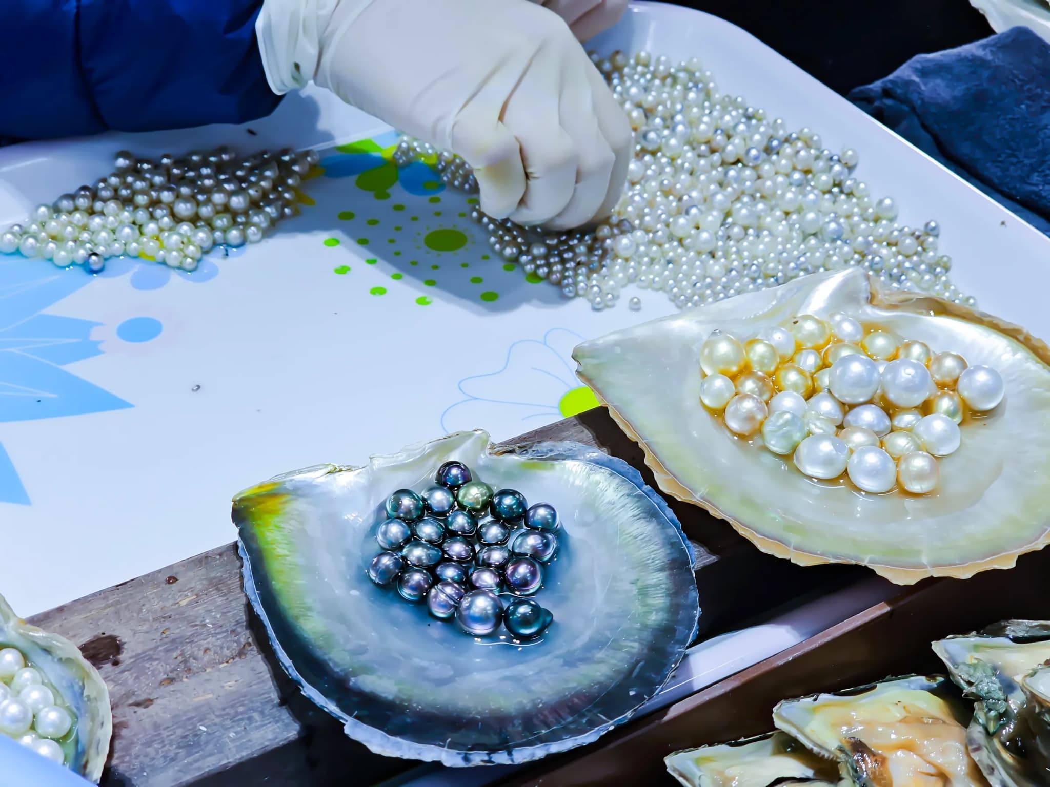 Quà tặng Vịnh Hạ Long