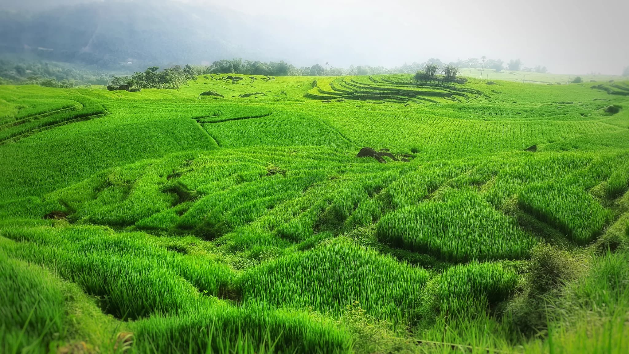 Pù Luông 1
