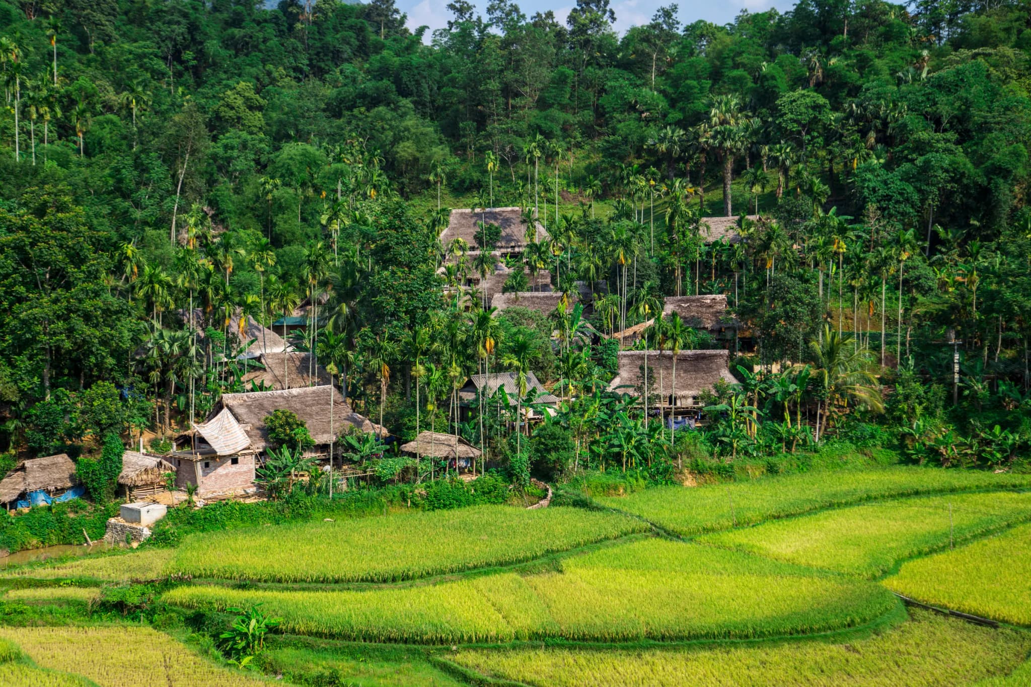Pù Luông 2