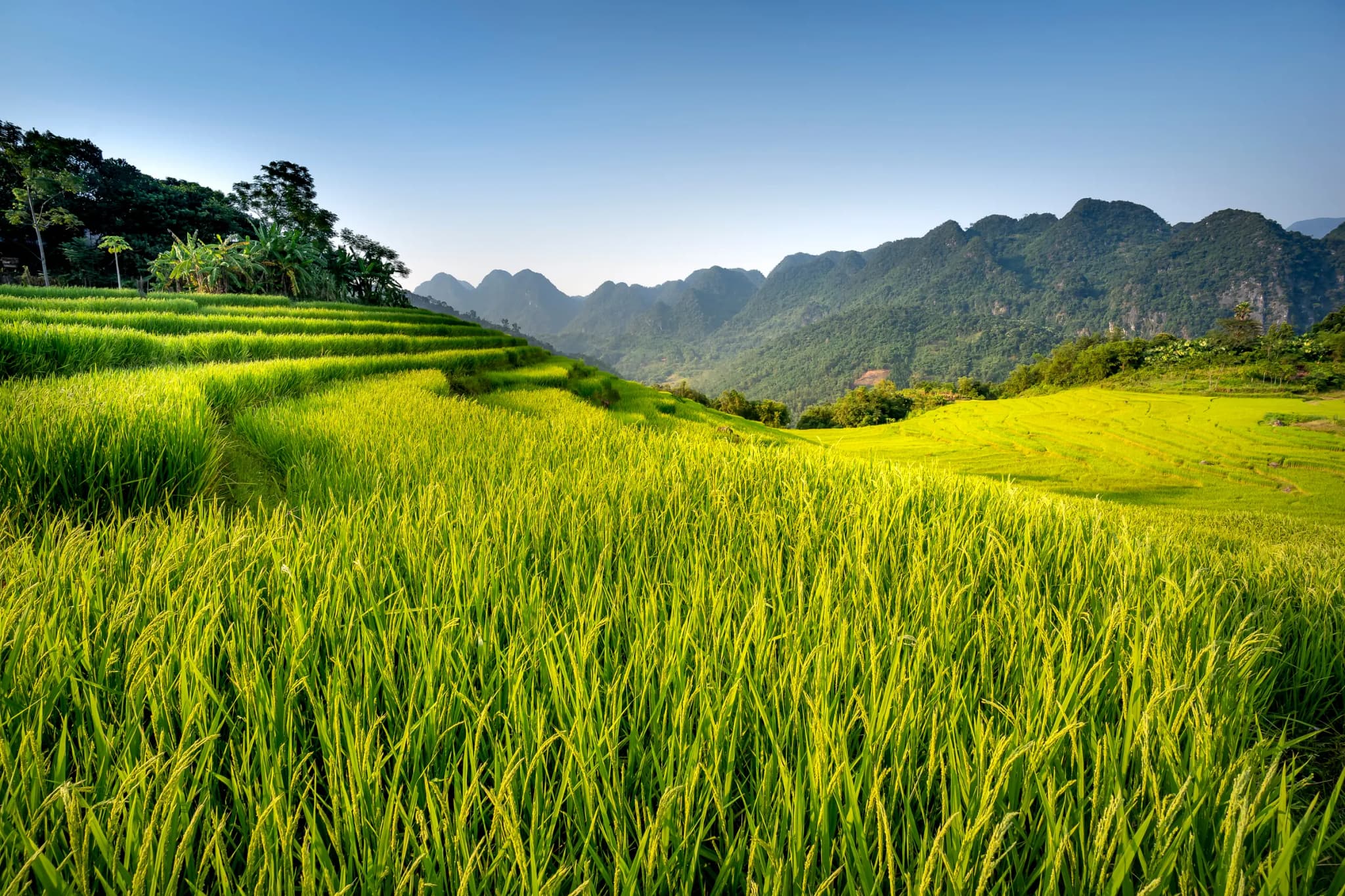 Pù Luông 3
