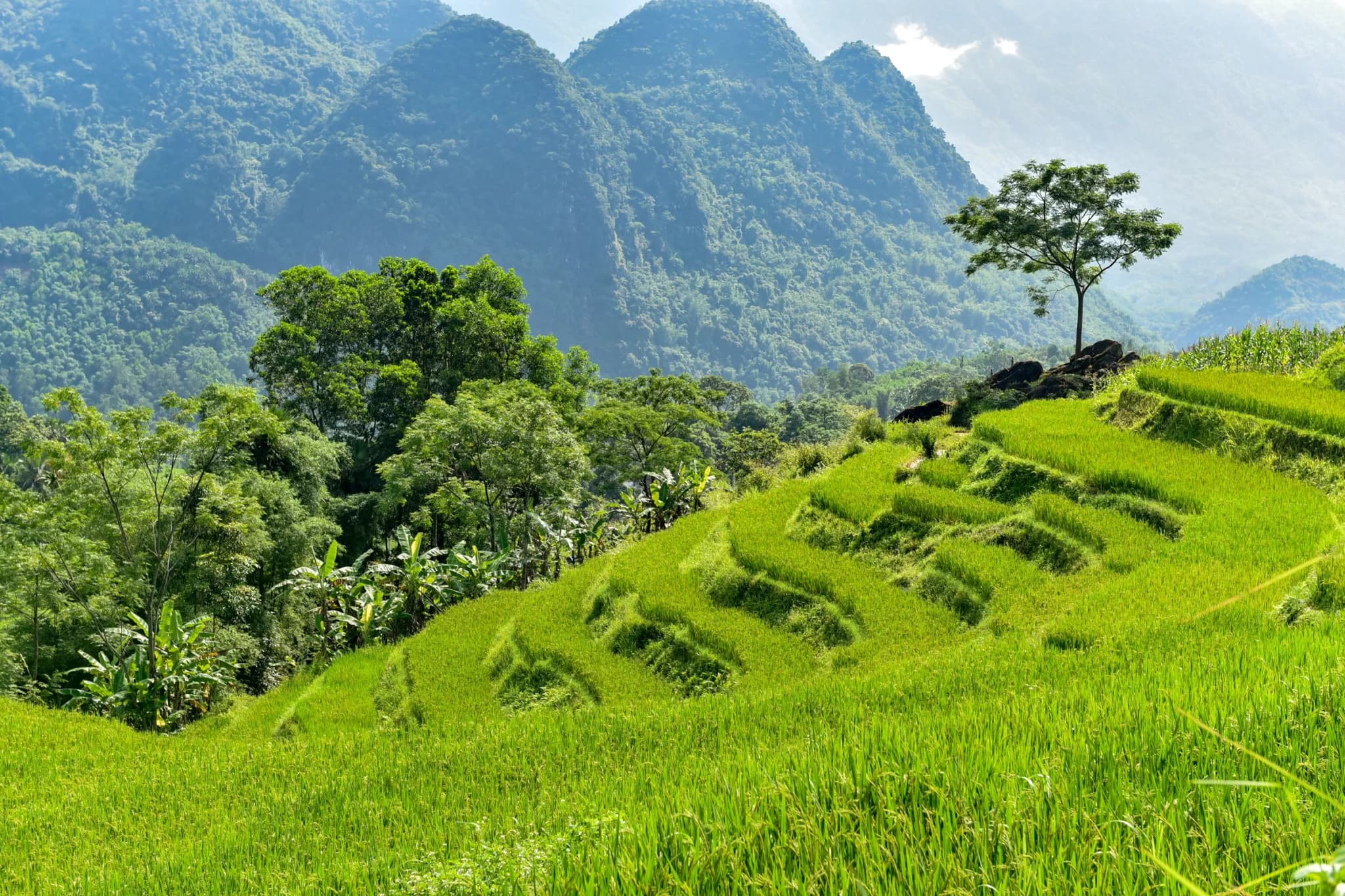 Pù Luông 6