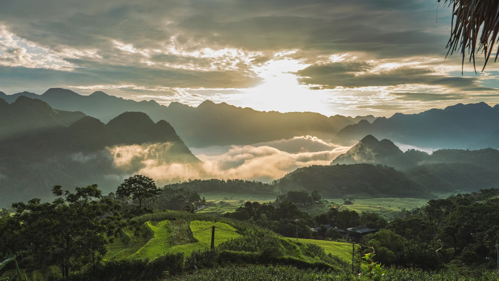 Cẩm nang du lịch Pù Luông