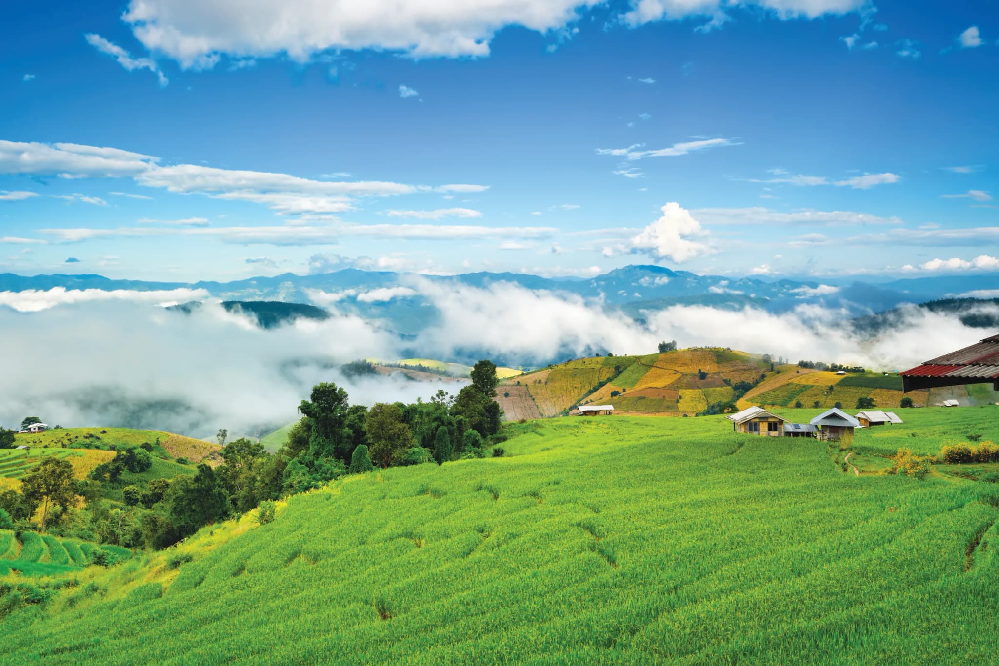 Pù Luông
