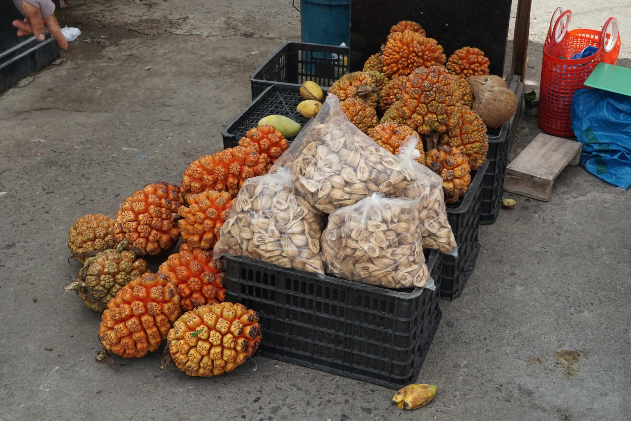 Quà tặng Đảo Phú Quý