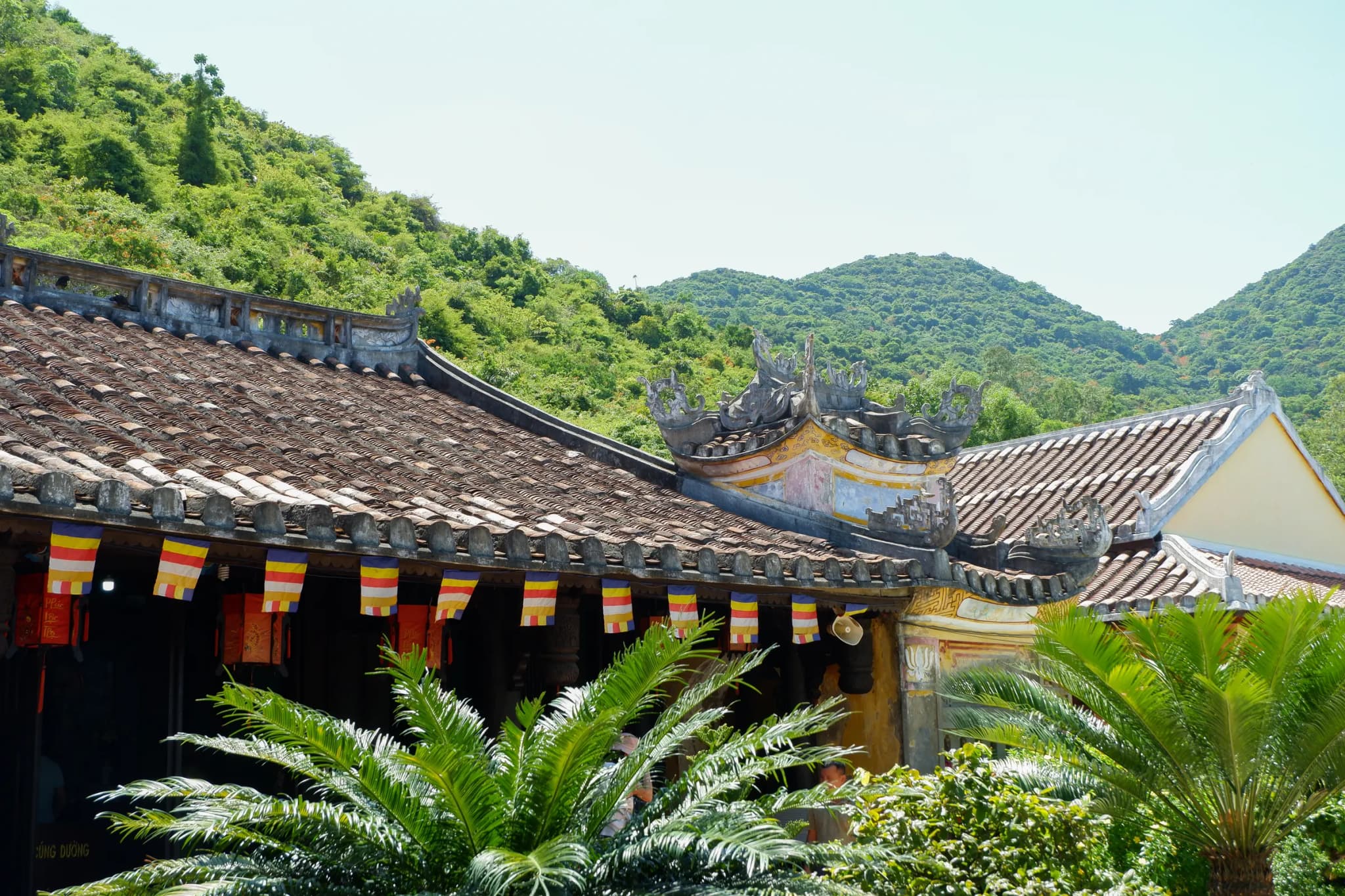 Cù Lao Chàm 9