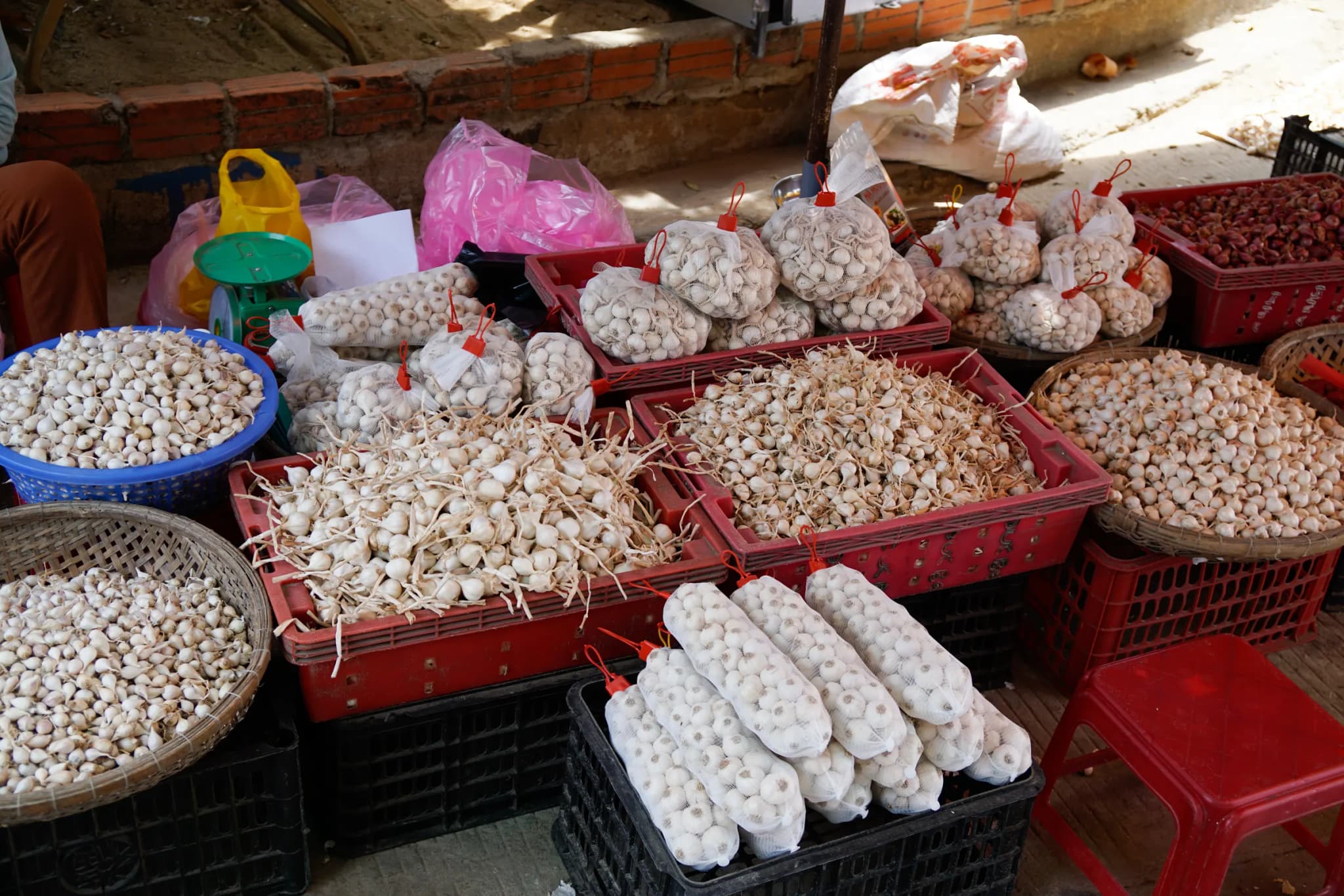 Đảo Lý Sơn 1