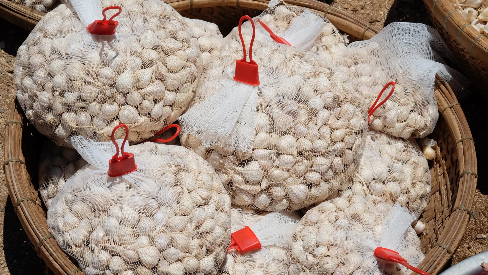 Quà tặng Đảo Lý Sơn
