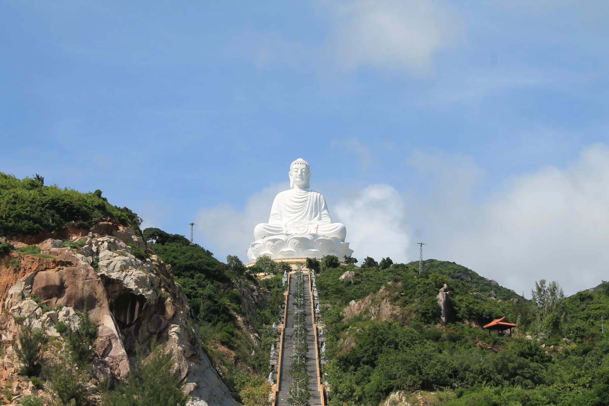 Kỳ Co 8