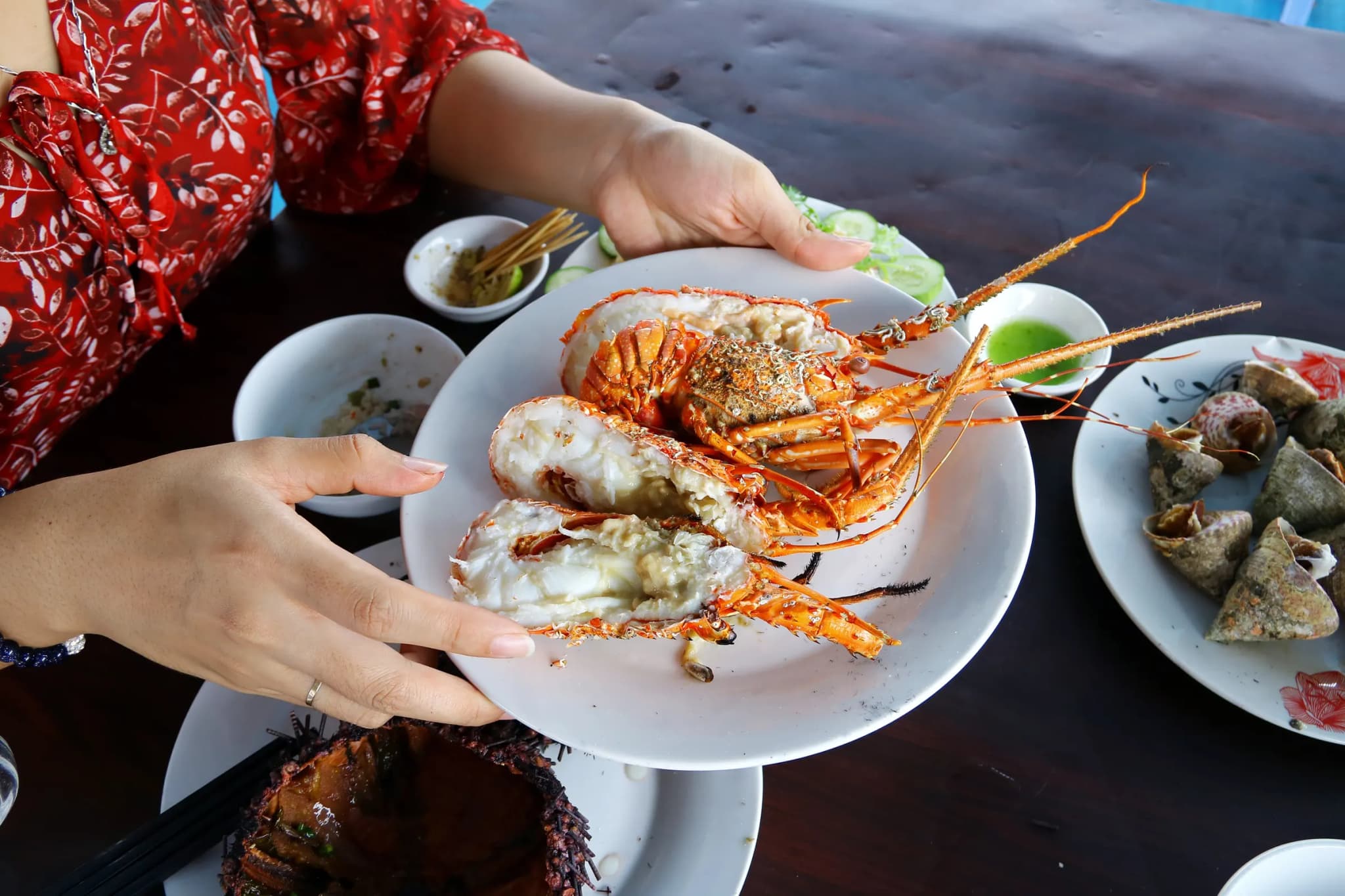 Đầm Ô Loan 1