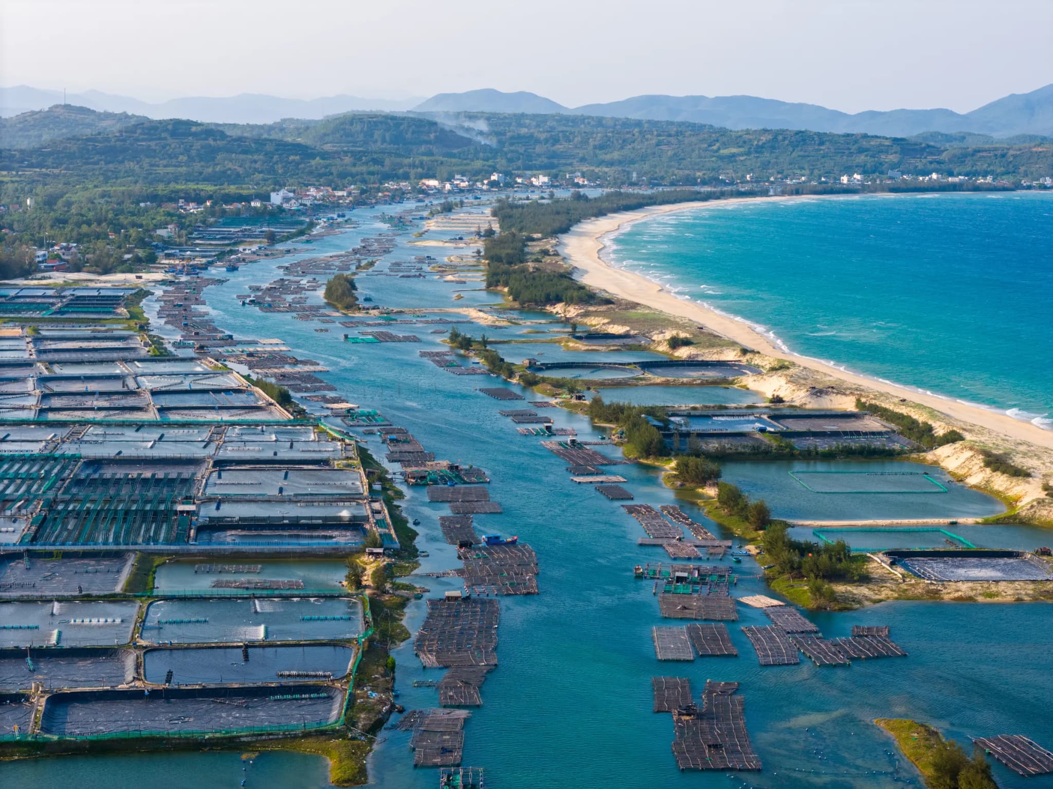 Đầm Ô Loan 6