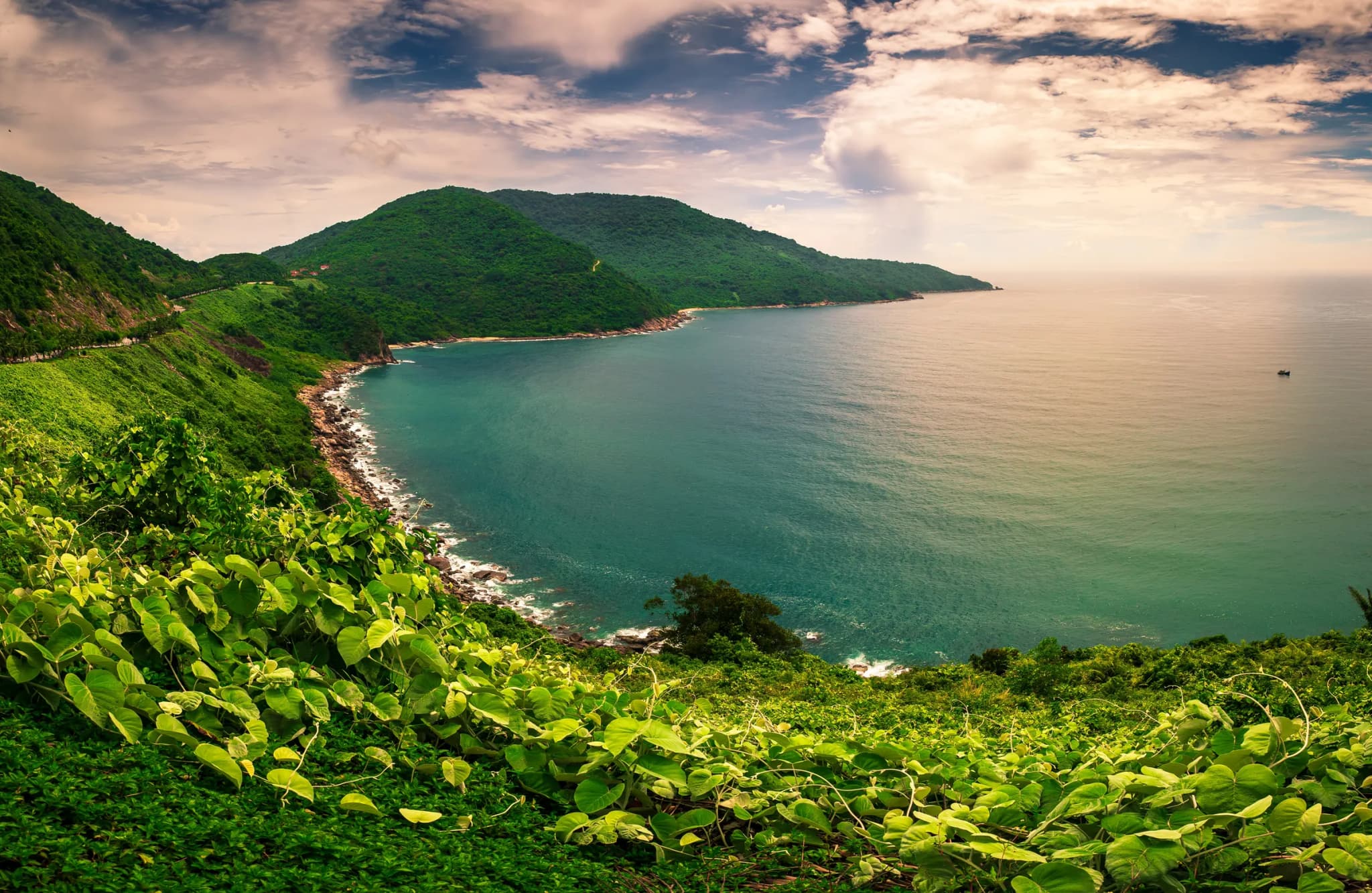 Bán đảo Sơn Trà 5