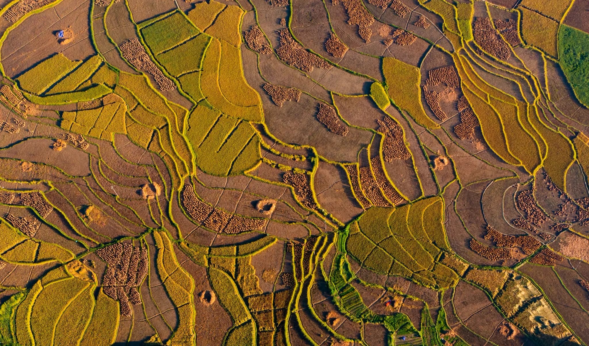 Hoàng Su Phì 3