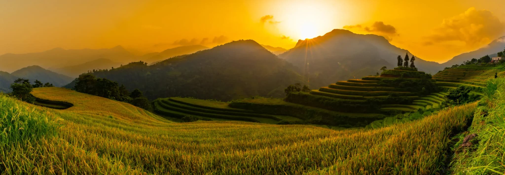 Hoàng Su Phì 4