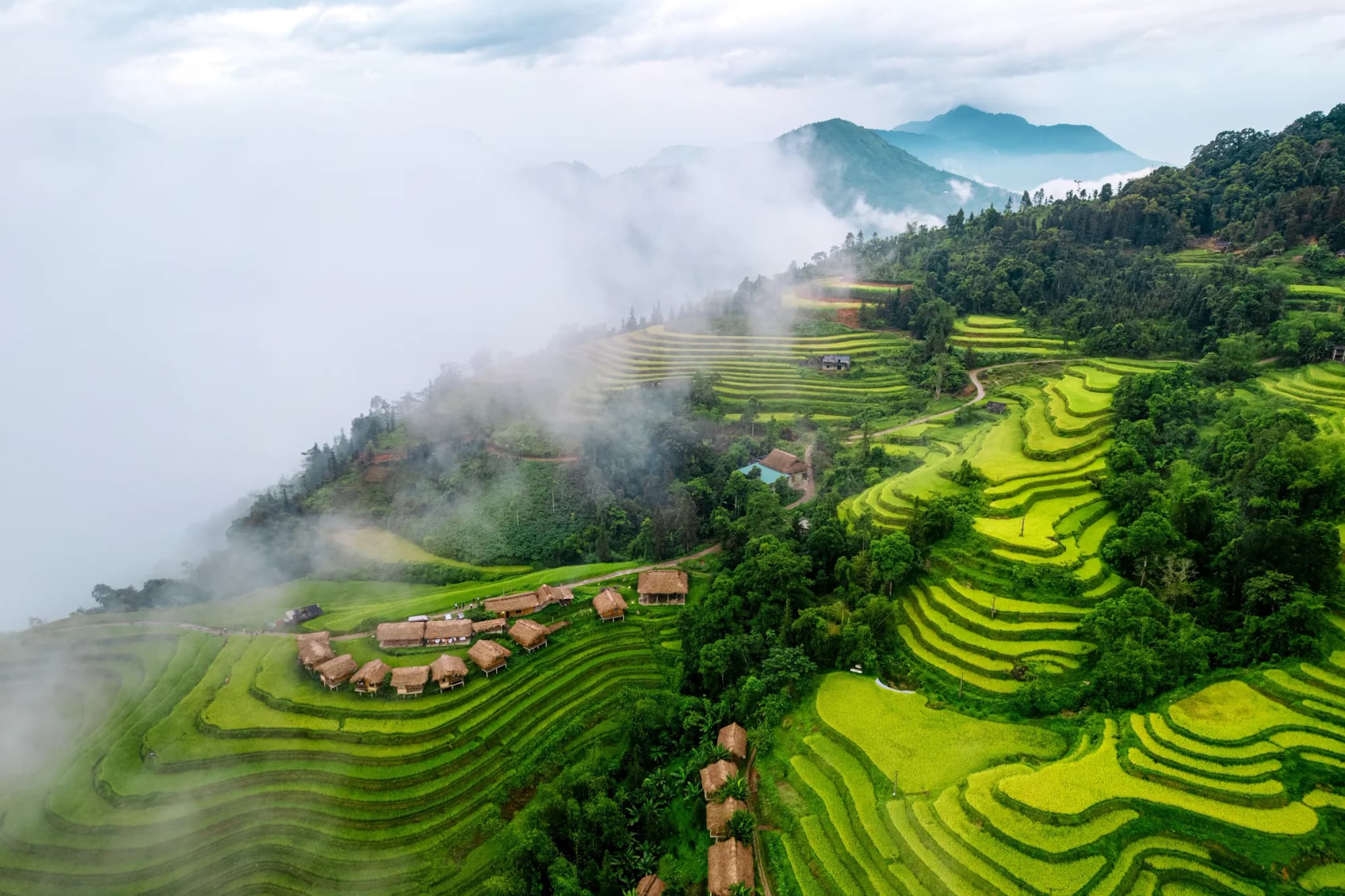 Hoàng Su Phì 9