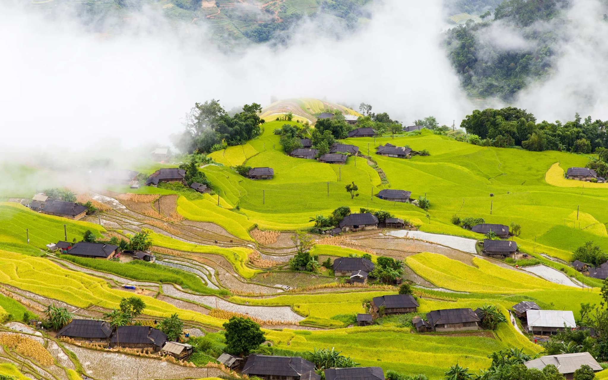 Hoàng Su Phì 11