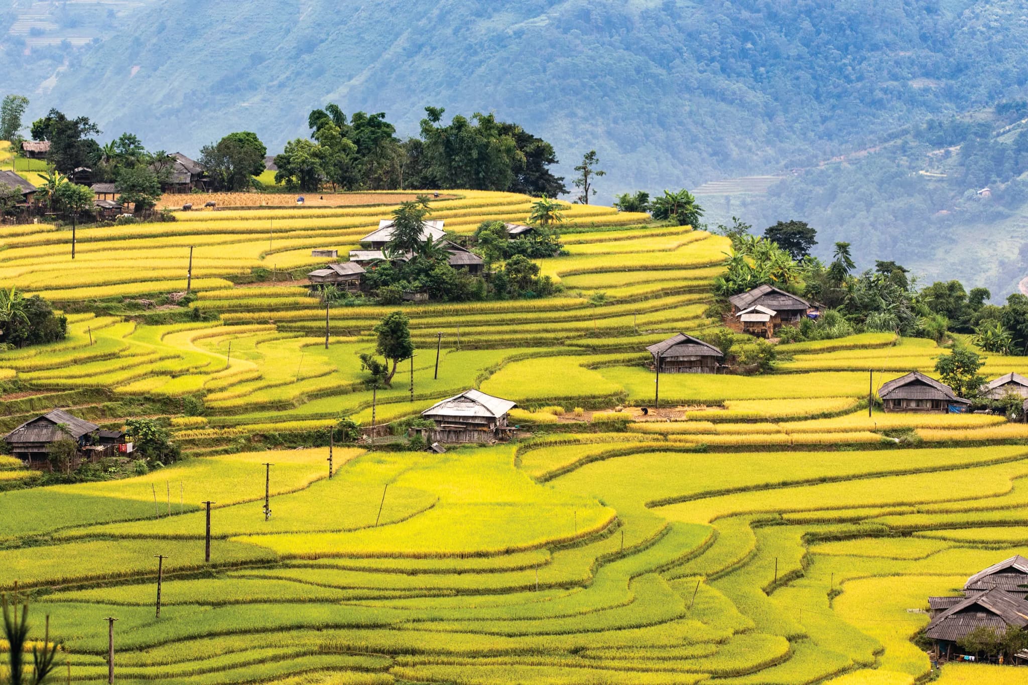 Hoàng Su Phì
