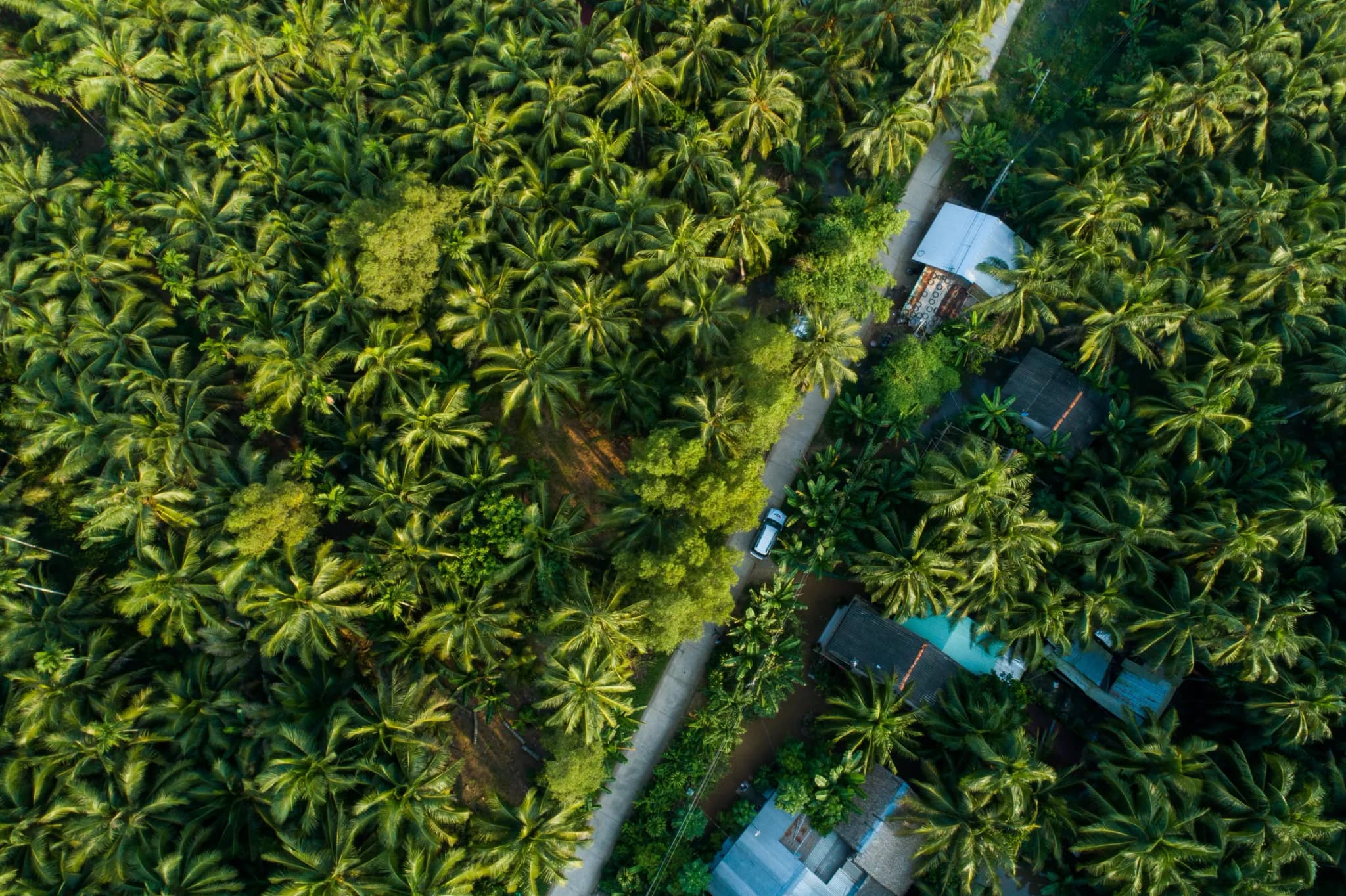 Cẩm nang du lịch Bến Tre