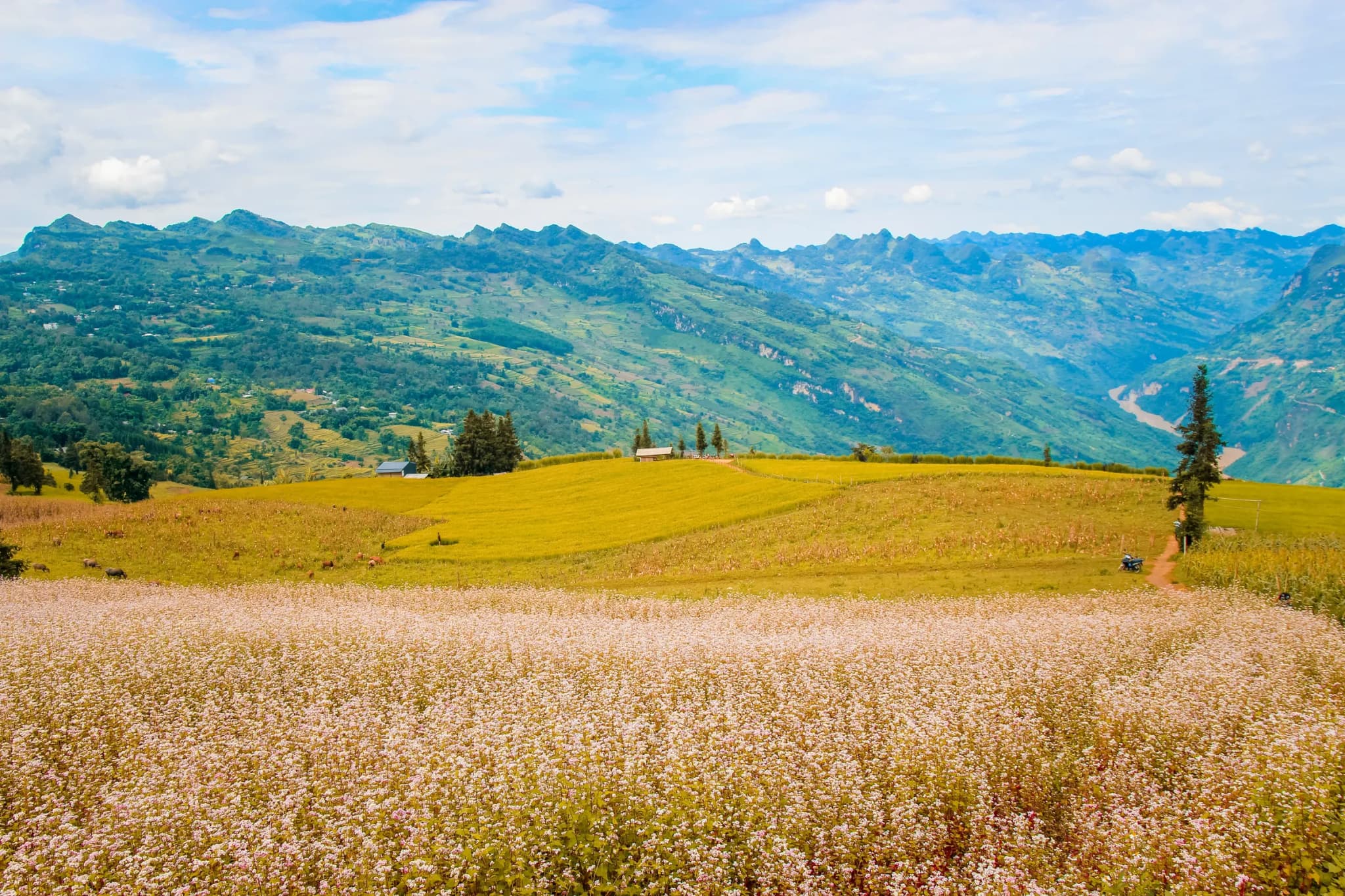 Hà Giang 2