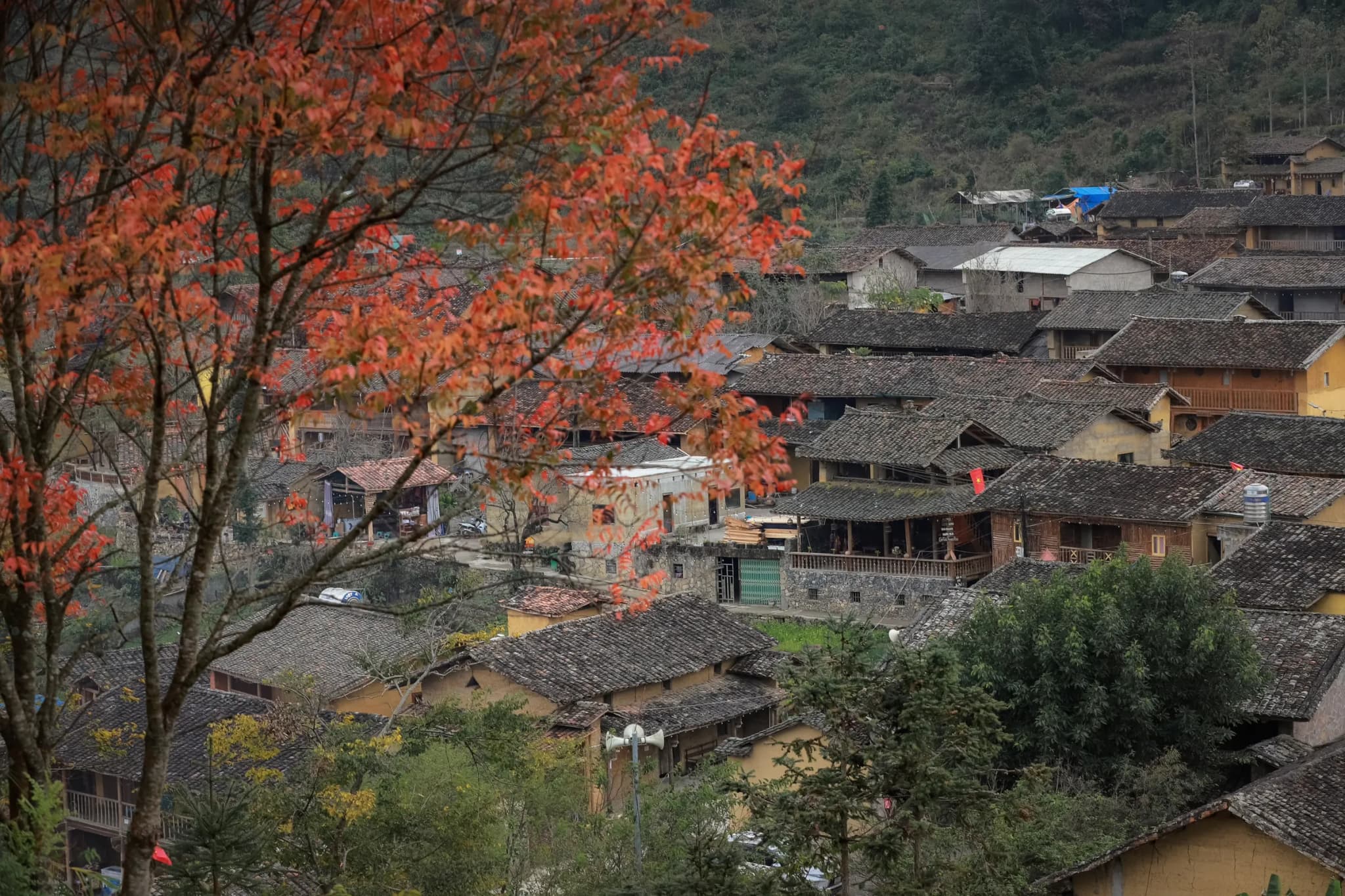 Hà Giang 7