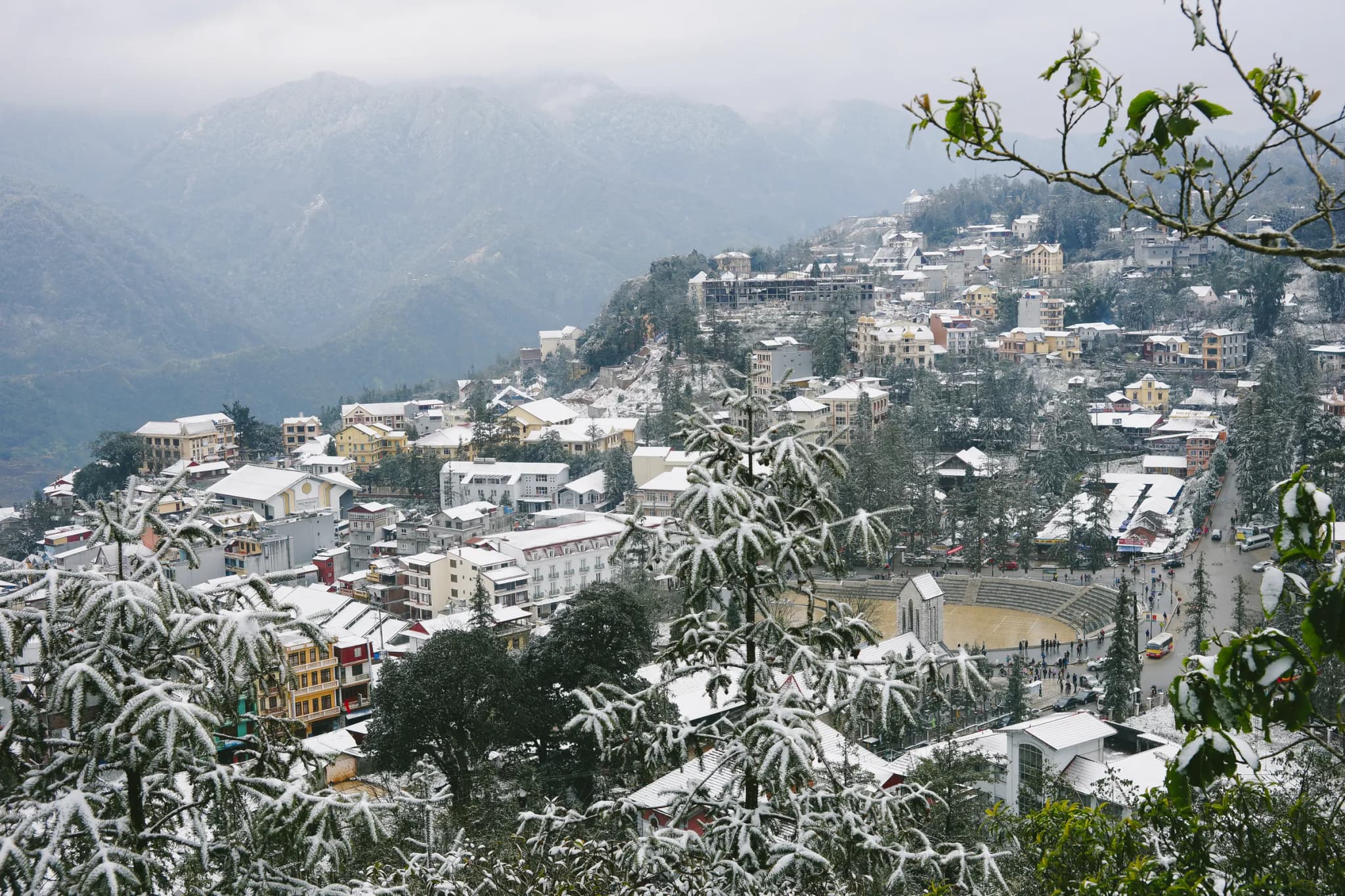 Sapa