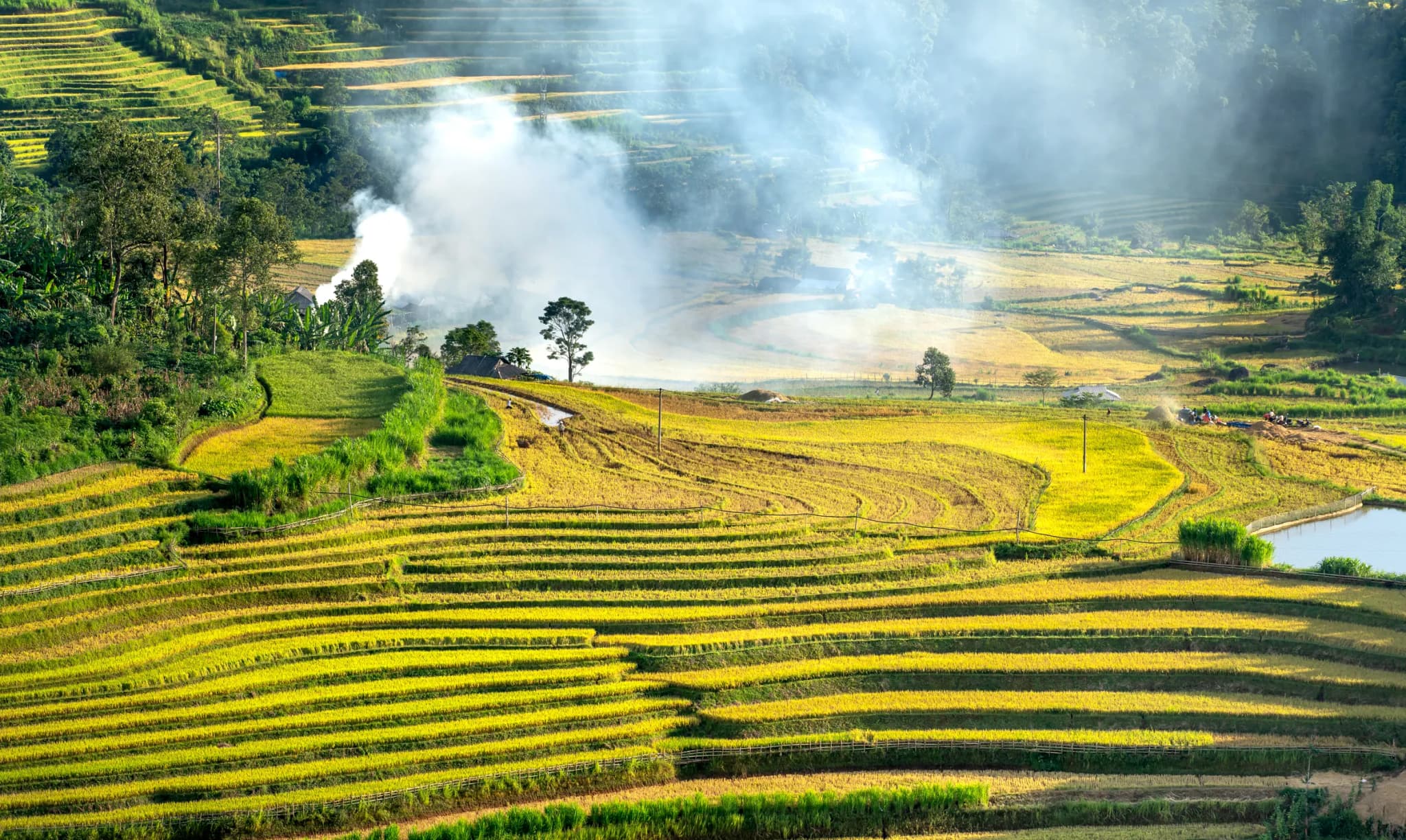 Cẩm nang du lịch Ý Tý